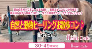 パーティー画像