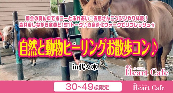 パーティーID:4381556の画像