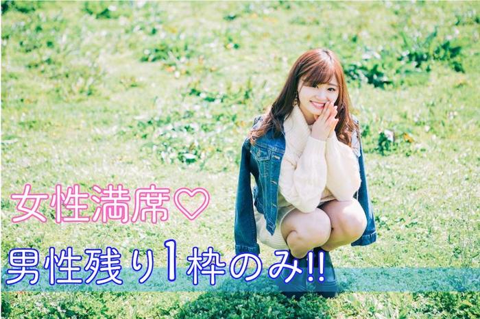 パーティーID:4381627の画像