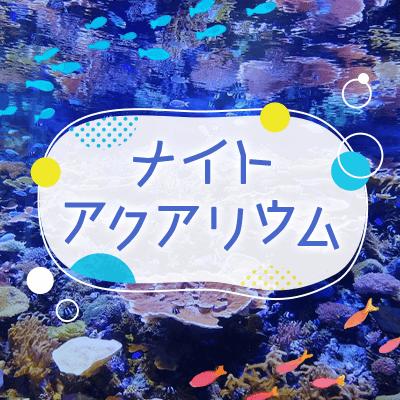 パーティーID:4382558の画像