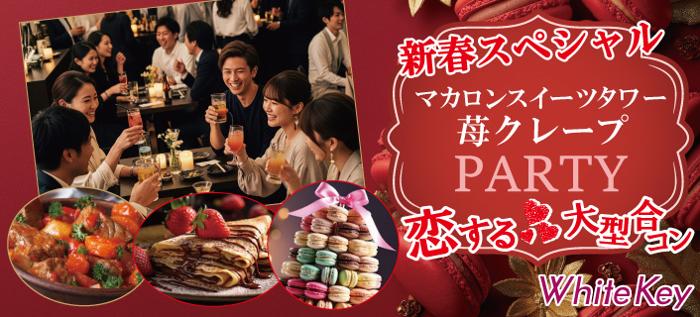 パーティーID:4384018の画像