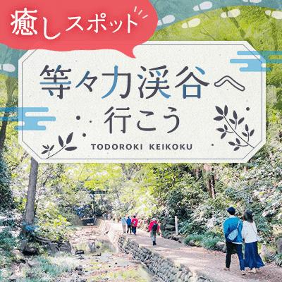 パーティーID:4385809の画像