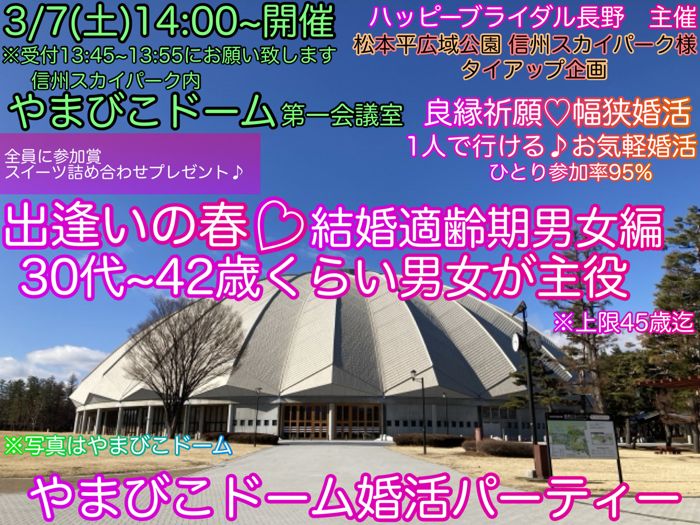 パーティーID:4385861の画像