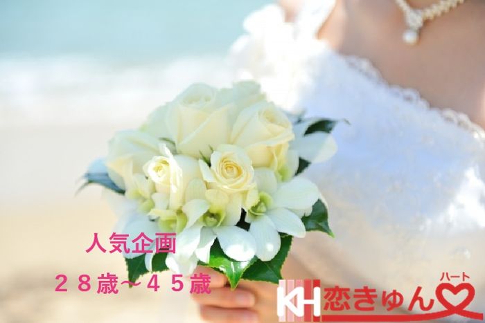 パーティーID:4386002の画像