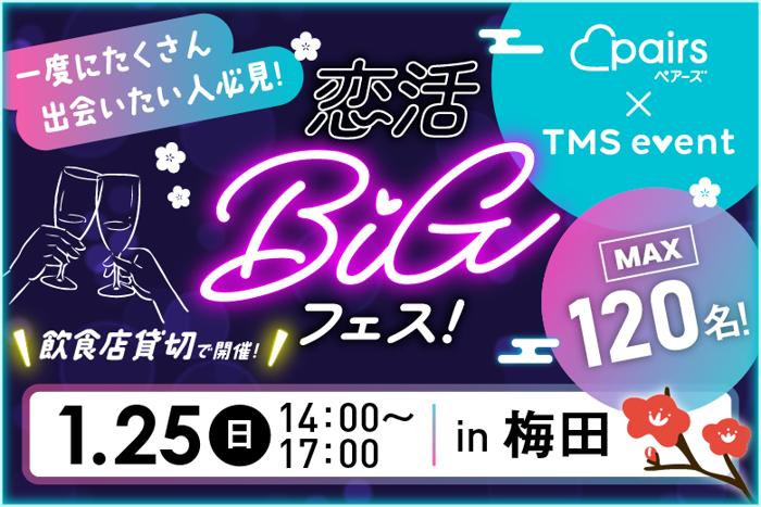 パーティーID:4386375の画像