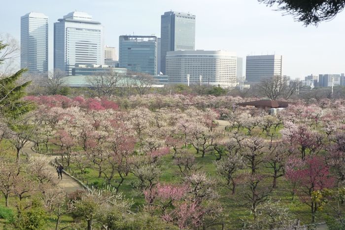 パーティーID:4387046の画像