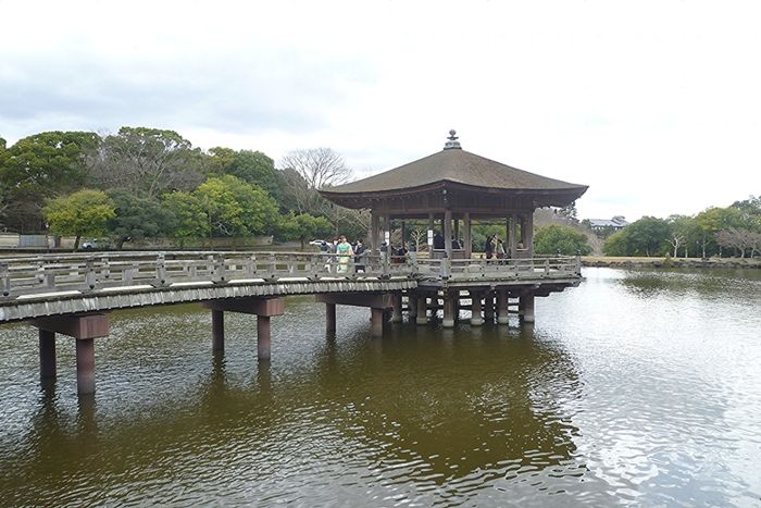 パーティーID:4387061の画像