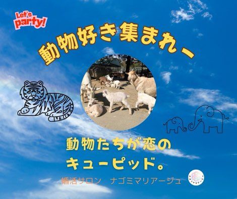 パーティーID:4387555の画像