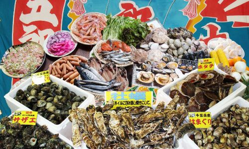 パーティーID:4387712の画像