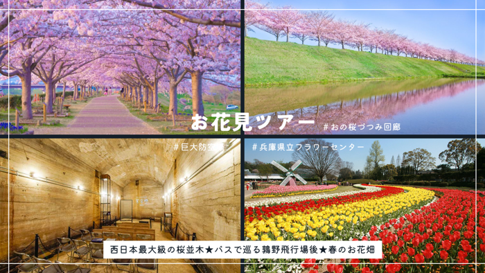 パーティーID:4387922の画像