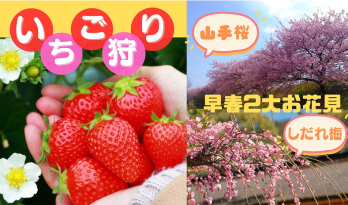 パーティーID:4389560の画像