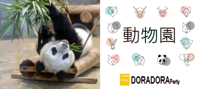 パーティーID:4389904の画像