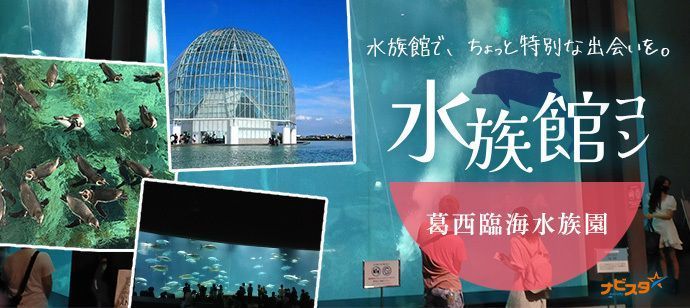 パーティーID:4391412の画像