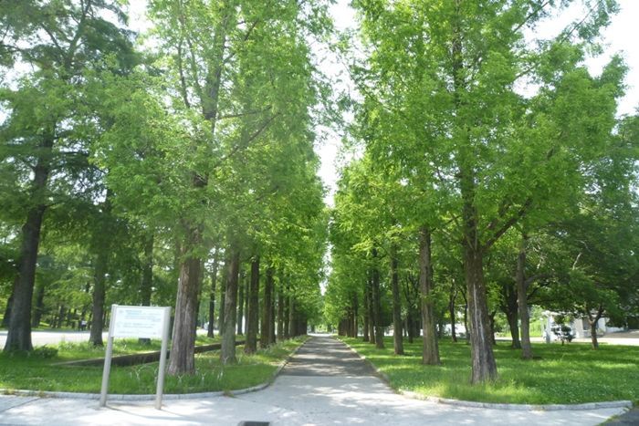 パーティーID:4391416の画像