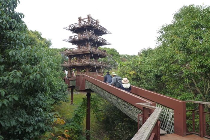 パーティーID:4391995の画像