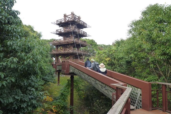 パーティーID:4392347の画像