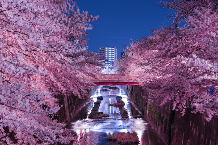 パーティーID:4393771の画像