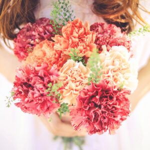 パーティーID:4393771の画像