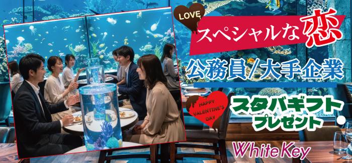 パーティーID:4394101の画像