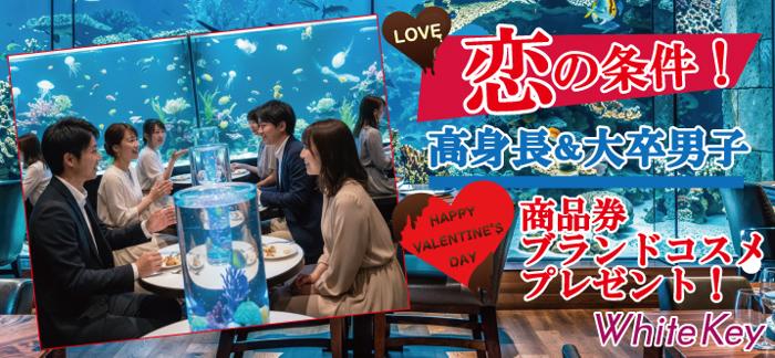 パーティーID:4394102の画像