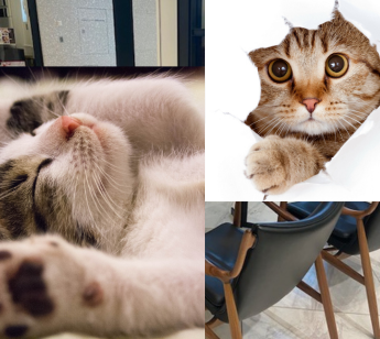 パーティーID:4394208の画像