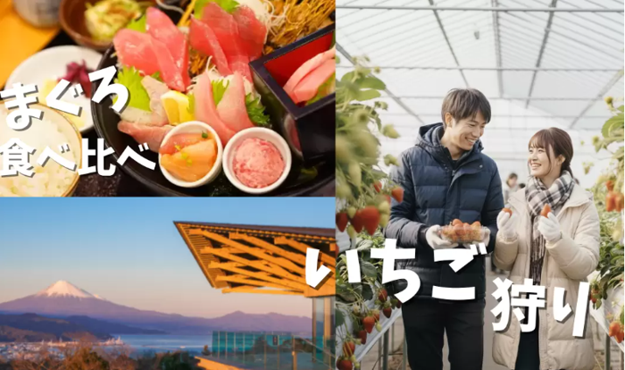 パーティーID:4395599の画像