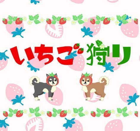 パーティーID:4396663の画像