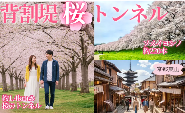 パーティーID:4397022の画像