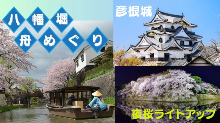 パーティーID:4397036の画像