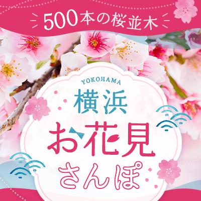 パーティーID:4398115の画像