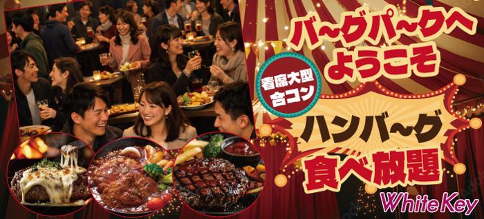 パーティーID:4399617の画像