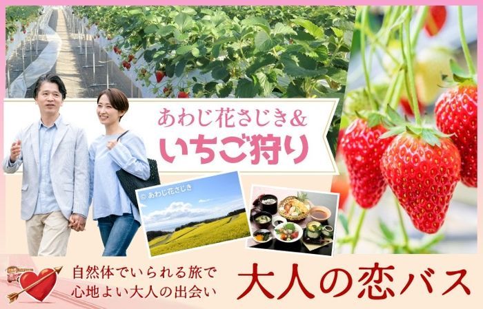 パーティーID:4400933の画像