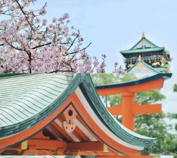 パーティーID:4401277の画像