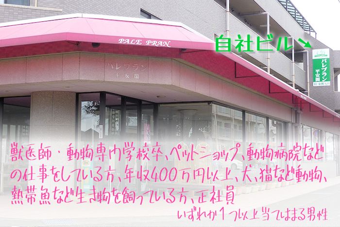 パーティーID:4401284の画像