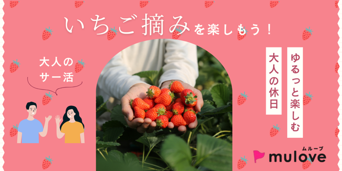 パーティーID:4401544の画像