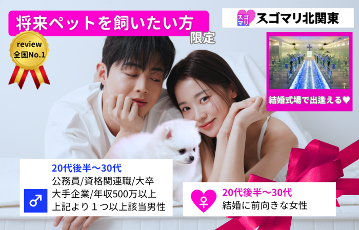 パーティーID:4402457の画像