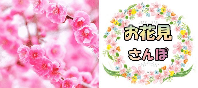 パーティーID:4403067の画像