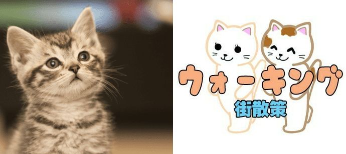 パーティーID:4403118の画像