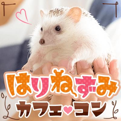 パーティーID:4403227の画像