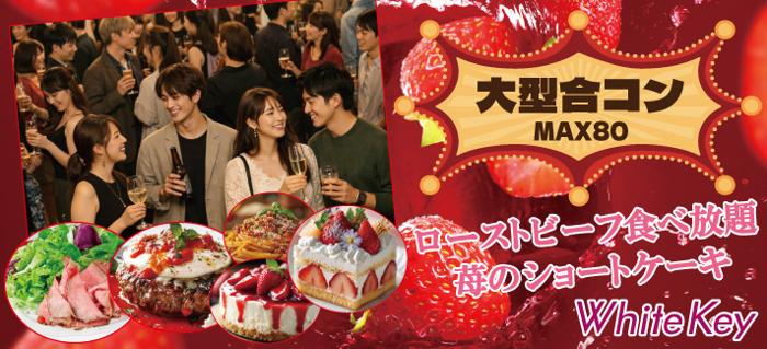 パーティーID:4403837の画像