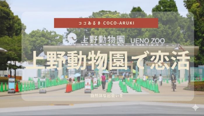 パーティーID:4404347の画像