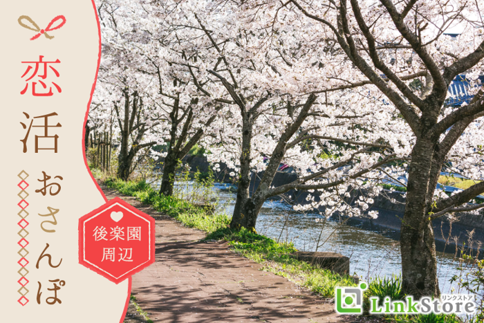 パーティーID:4404424の画像