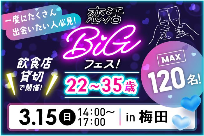 パーティーID:4405839の画像