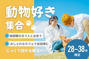 パーティー画像