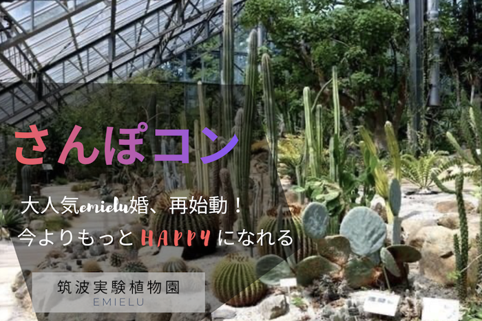 パーティーID:4407357の画像