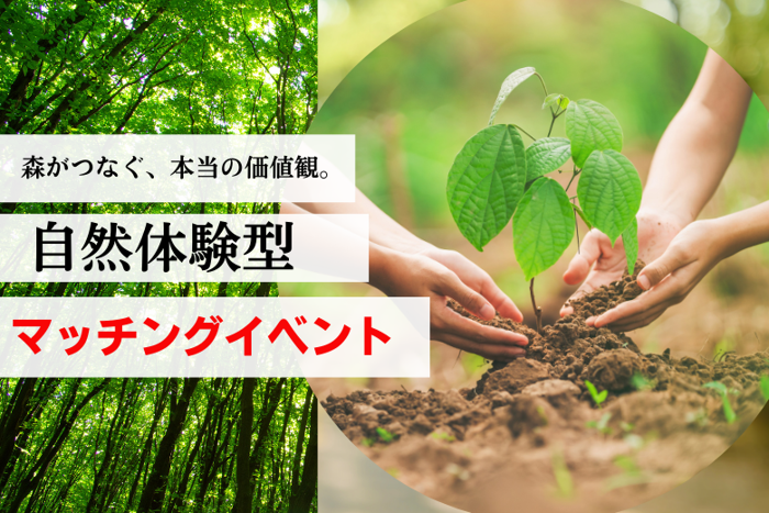 パーティーID:4408490の画像