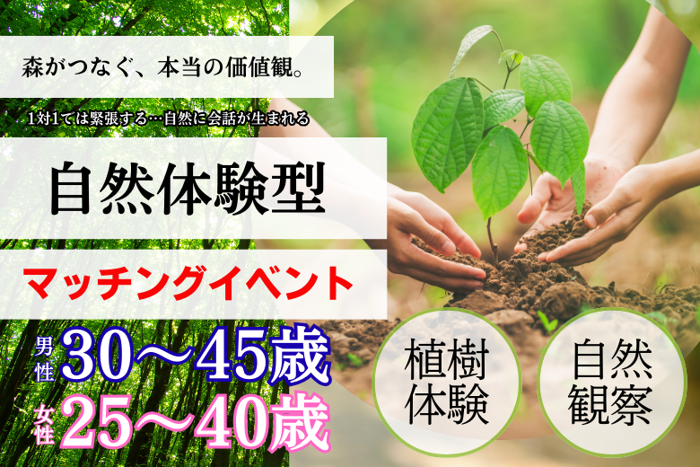 パーティーID:4408490の画像