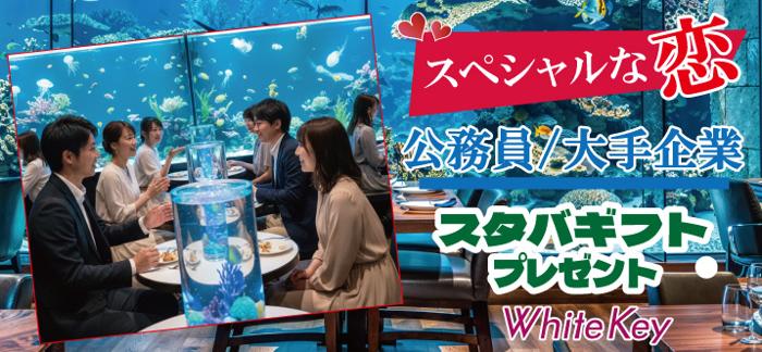 パーティーID:4409305の画像