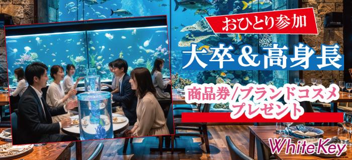 パーティーID:4409306の画像