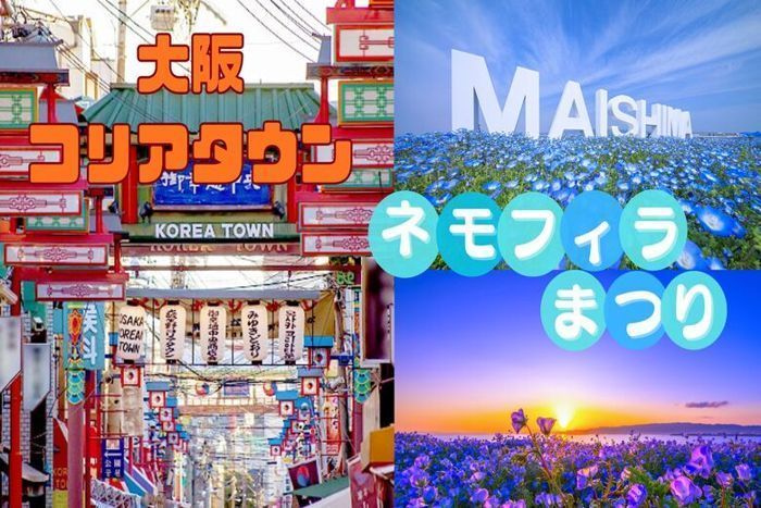 パーティーID:4410159の画像